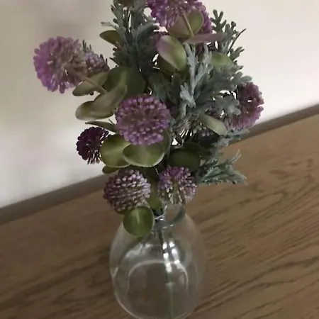 Aintree House, Donegal, Ireland Semesterbostad